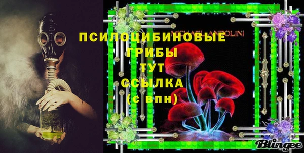 PSILOCYBIN Нягань