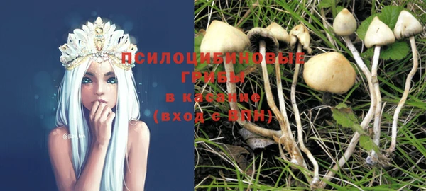 соль ск Аркадак
