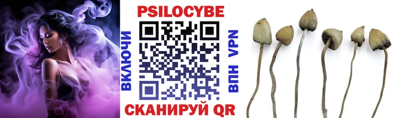 Псилоцибиновые грибы мицелий  Покровск 